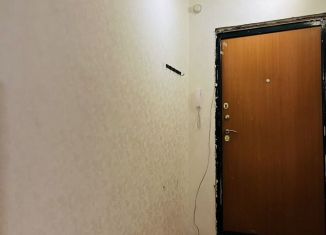 Сдаю в аренду квартиру студию, 26 м2, село Осиново, улица Гайсина, 9, ЖК Радужный