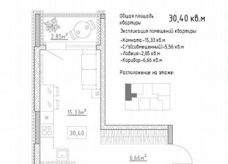 Продаю квартиру студию, 30.4 м2, село Засечное, Центральная улица, 15