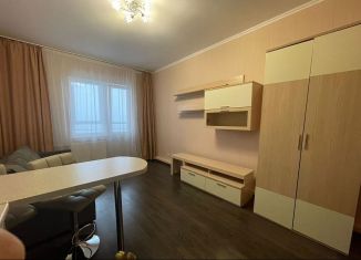 Сдам в аренду квартиру студию, 28 м2, Тверь, улица Фрунзе, 2к1