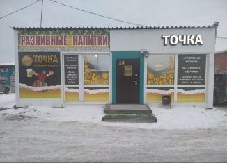 Сдается в аренду торговая площадь, 45 м2, Бердск, Солнечная улица, 11Б/1