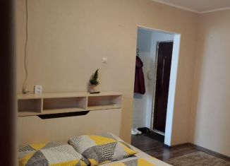 Сдаю в аренду 1-ком. квартиру, 30 м2, Новочеркасск, улица С.В. Мацоты, 44