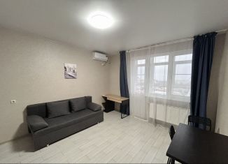 Квартира в аренду студия, 24.6 м2, Анапа, улица Толстого, 130к1