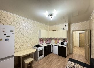 Сдается 1-ком. квартира, 42 м2, Тюмень, улица Бориса Житкова, 5к1