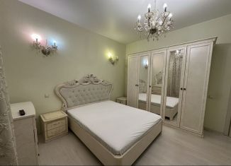 Сдается 1-ком. квартира, 50 м2, деревня Дудкино, СНТ Круиз, 50