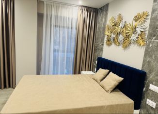 Сдается квартира студия, 30 м2, Сочи, улица Кирова, 95, микрорайон Черемушки