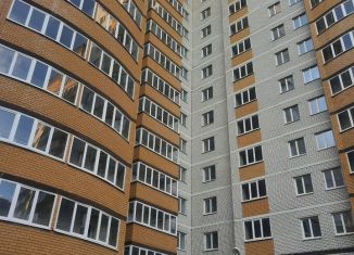 1-ком. квартира на продажу, 52.7 м2, Воронеж, улица Лётчика Филипова, 6, ЖК Спутник