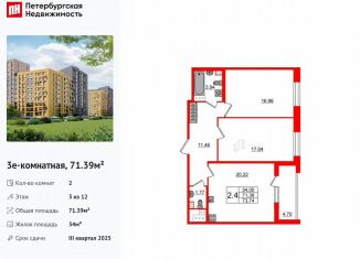 Продается 2-комнатная квартира, 71.4 м2, Санкт-Петербург, метро Озерки