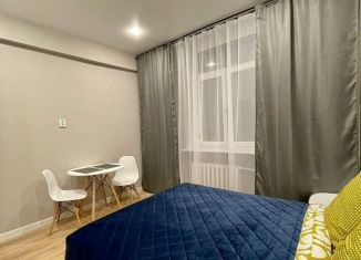 Квартира в аренду студия, 24 м2, Татарстан, улица Хади Такташа, 117