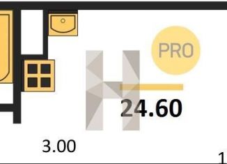 Продажа квартиры студии, 24.6 м2, Новосибирск, улица Красный Факел, 39, Первомайский район