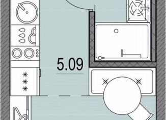 Продажа квартиры студии, 20.5 м2, Санкт-Петербург, метро Приморская