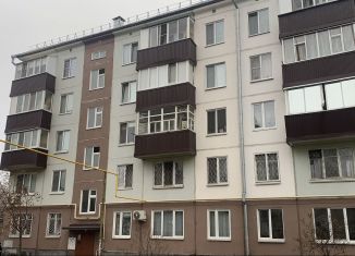 Продается 1-ком. квартира, 31.5 м2, Казань, улица Карима Тинчурина, 1, Вахитовский район