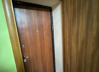 Сдаю дом, 34 м2, село Чистенькое, Нижний квартал, 50