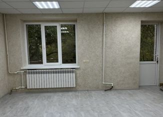 Продажа помещения свободного назначения, 34 м2, Воронеж, улица Берёзовая Роща, 24А, Центральный район