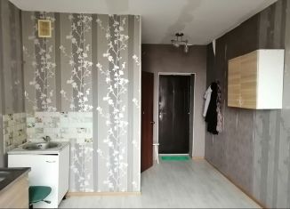 Продается квартира студия, 18.1 м2, село Криводановка, Микрорайон, 8А