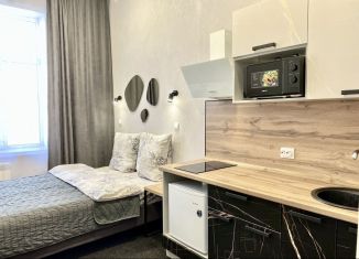 Сдается квартира студия, 18 м2, Забайкальский край, улица Ленина, 151к1