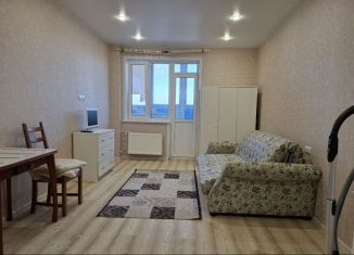 1-ком. квартира в аренду, 31 м2, Старая Купавна, Октябрьская улица, 14А