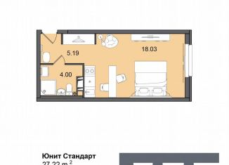 Квартира на продажу студия, 27.2 м2, Санкт-Петербург, муниципальный округ Гагаринское, Витебский проспект, 99к1