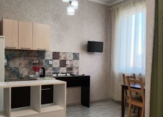 Квартира в аренду студия, 23 м2, Кудрово, проспект Строителей, 5к1