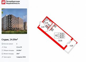 Продается квартира студия, 24.1 м2, Санкт-Петербург, муниципальный округ Невский