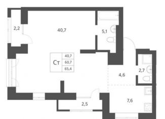 Продаю квартиру студию, 65.4 м2, Новосибирск, Заельцовский район, Красный проспект, 236