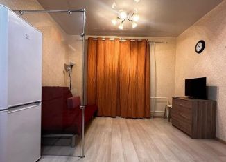 Сдается квартира студия, 29 м2, Мурино, проспект Авиаторов Балтики, 3к1, ЖК Девятый вал