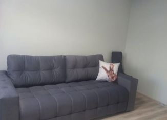 Сдам в аренду 1-ком. квартиру, 41 м2, Новосибирск, Красный проспект, 329, метро Заельцовская