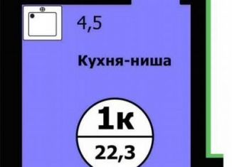 Продается квартира студия, 22.3 м2, Красноярск, улица Лесников, 41Б, Свердловский район