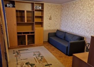 Сдам 1-ком. квартиру, 40 м2, Санкт-Петербург, проспект Энгельса, 126к2, муниципальный округ Шувалово-Озерки