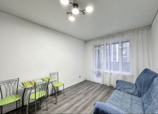 Аренда 1-ком. квартиры, 32 м2, Санкт-Петербург, Пулковское шоссе, 95к3, муниципальный округ Пулковский Меридиан