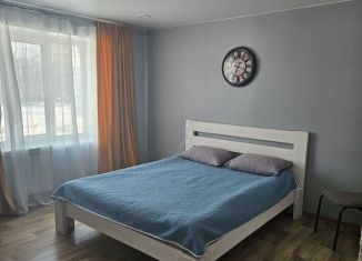 Аренда квартиры студии, 30 м2, Хабаровский край, проспект Мира, 17к1