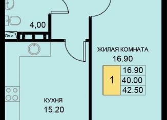 1-комнатная квартира на продажу, 42.5 м2, поселок Южный, Екатерининская улица, 7к1