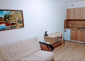 Сдаю в аренду квартиру студию, 27 м2, Екатеринбург, Дорожная улица, 12, ЖК Весна