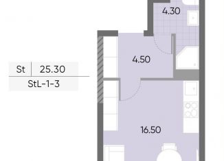 Продам квартиру студию, 25.3 м2, Москва, метро Борисово