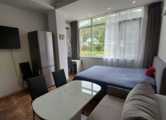 Продам квартиру студию, 39 м2, село Краевско-Армянское, Мостовой переулок, 25