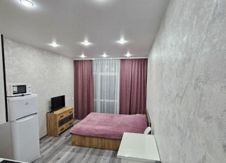 Сдаю квартиру студию, 23 м2, Пермский край, шоссе Космонавтов, 309Ак1