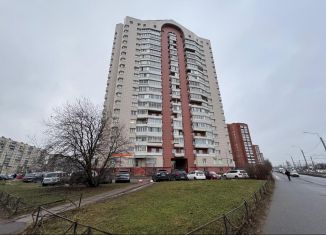 Сдается 2-комнатная квартира, 48 м2, Санкт-Петербург, проспект Косыгина, 17к1, муниципальный округ Пороховые