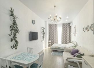 Квартира в аренду студия, 30 м2, Геленджик, Крымская улица, 22к22