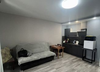 Квартира в аренду студия, 30 м2, Пермский край, улица Космонавта Леонова, 41/1