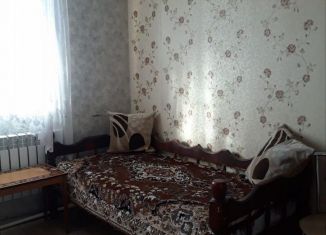 Аренда 1-ком. квартиры, 50 м2, деревня Сгонники, Центральная улица, 48