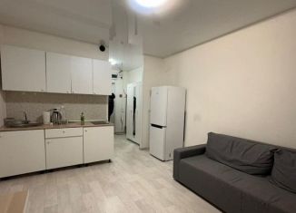 Сдаю в аренду квартиру студию, 23 м2, Москва, Варшавское шоссе, 141к7, метро Академика Янгеля