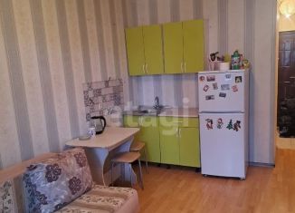 Продается квартира студия, 19.6 м2, Новосибирская область, улица Виктора Уса, 9