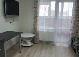 Сдача в аренду квартиры студии, 28 м2, Пермь, Бисерский переулок, 5