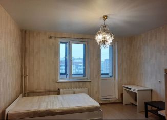 Продажа квартиры студии, 25 м2, Мурино, Охтинская аллея, 16, ЖК Мой Город