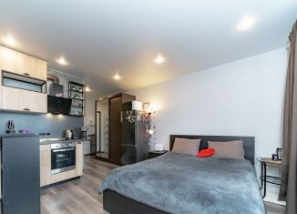 Продается квартира студия, 22.2 м2, Мурино, проспект Авиаторов Балтики, 31, ЖК Цвета радуги