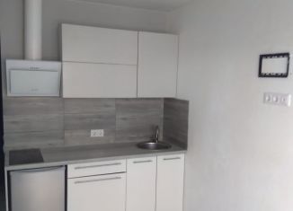 Продается квартира студия, 18 м2, Барнаул, улица Челюскинцев, 80В, ЖК Новый Квартал