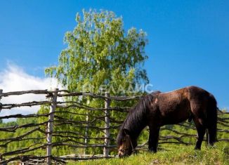 Продаю помещение свободного назначения, 2500 м2, село Ая, Катунская улица, 27А