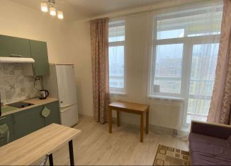 Сдам в аренду квартиру студию, 22 м2, Мурино, Ручьёвский проспект, 13, ЖК Айди Мурино