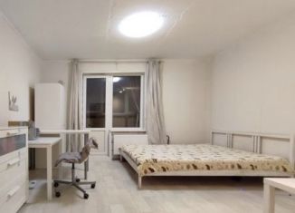 Аренда квартиры студии, 24 м2, Мурино, Петровский бульвар, 7, ЖК Ласточка