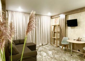 Сдается в аренду квартира студия, 25 м2, Сочи, Каспийская улица, 46/7А, микрорайон Верхнеимеретинская Бухта