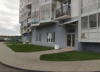 Сдаю помещение свободного назначения, 111 м2, поселок Бугры, Нижняя улица, 5к3